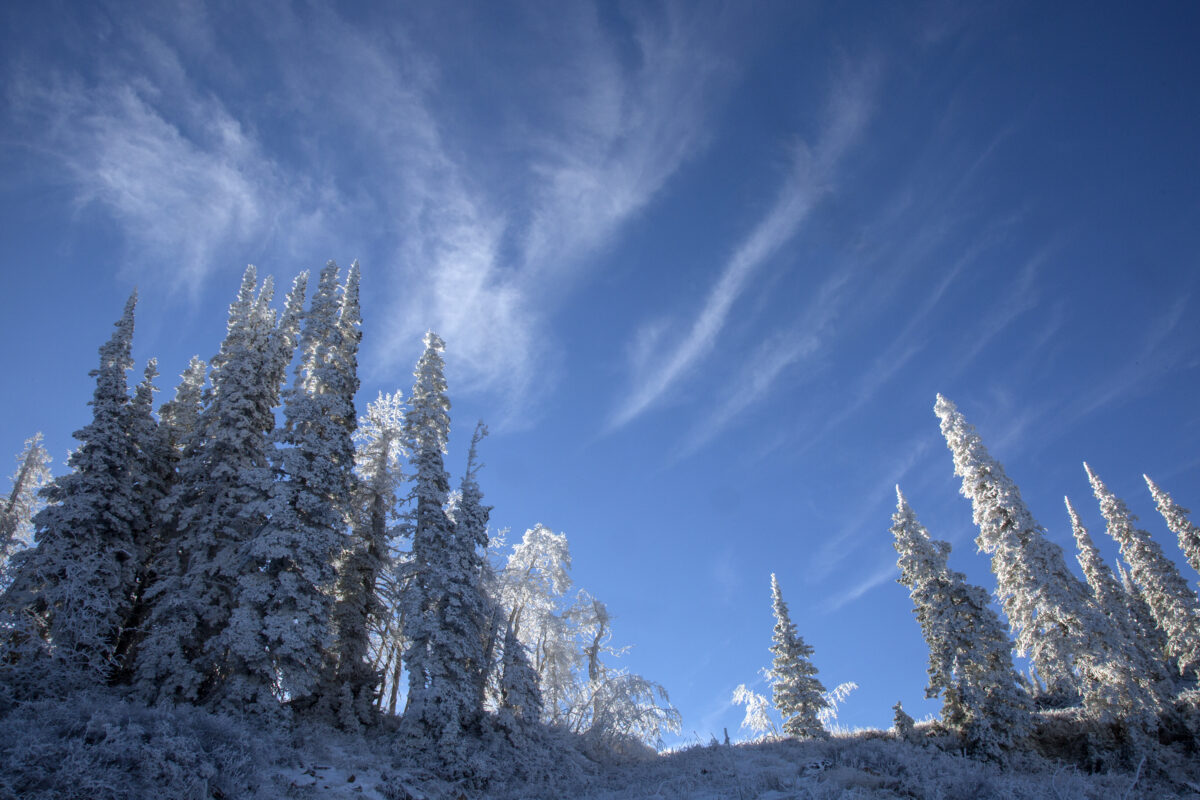 Utah’s Powder Mountain to tackle climate change during POW Day News